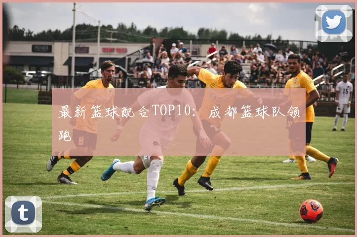 最新篮球配合TOP10：成都篮球队领跑