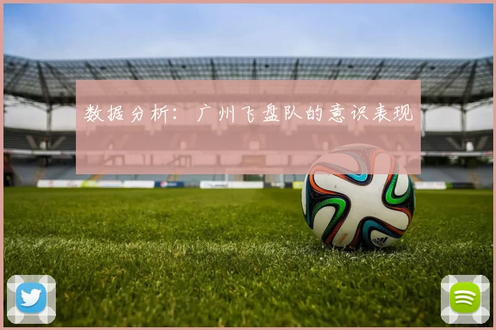 数据分析：广州飞盘队的意识表现
