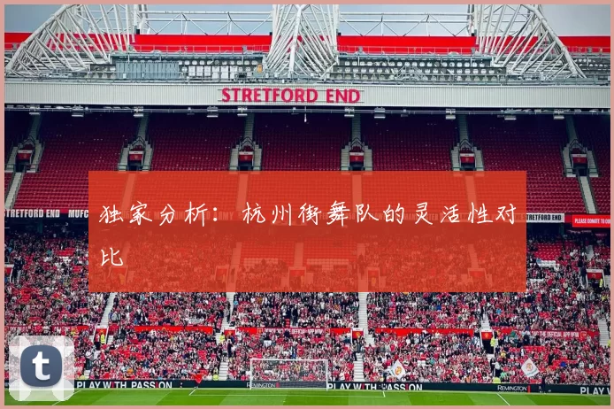 独家分析：杭州街舞队的灵活性对比