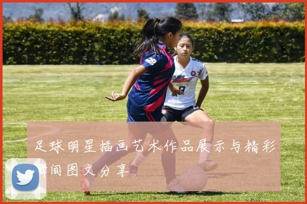 足球明星插画艺术作品展示与精彩瞬间图文分享