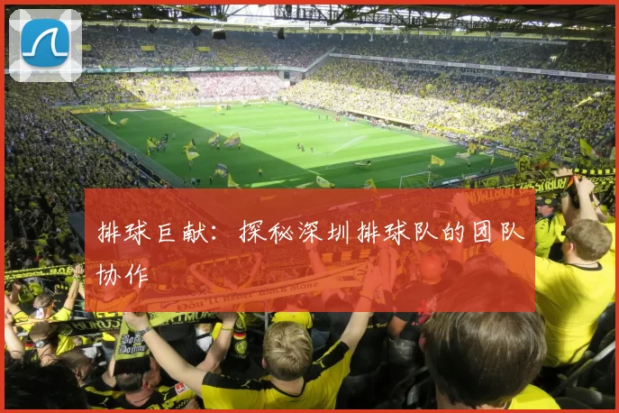 排球巨献：探秘深圳排球队的团队协作