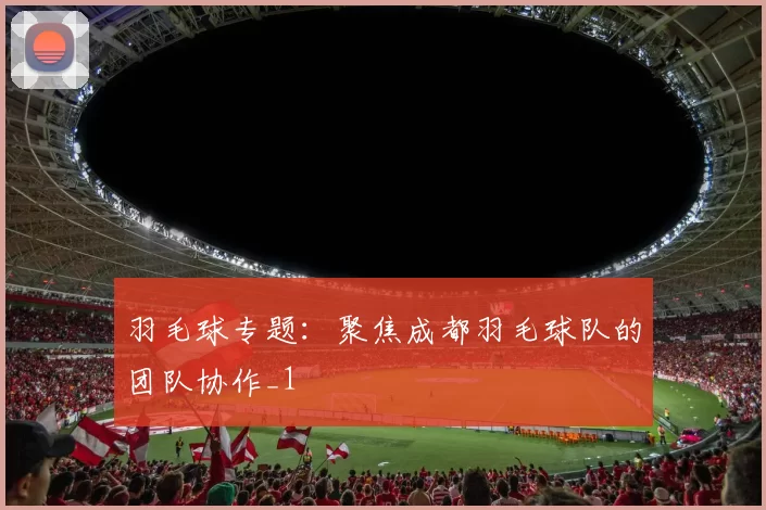 羽毛球专题：聚焦成都羽毛球队的团队协作_1