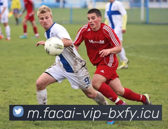 广州羽毛球队引领最新羽毛球战术十大趋势解析与展望